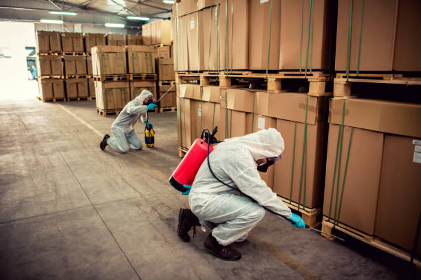 Best Pest Control Near Me in Weirton, WV