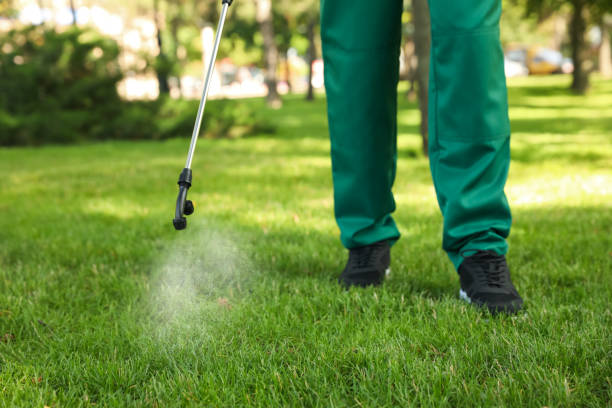 Best Affordable Pest Control Services  in Weirton, WV