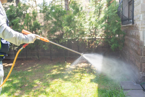 Best Termite Control Services  in Weirton, WV